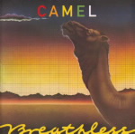 camel1c