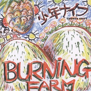 burning farm
